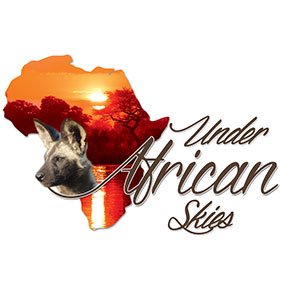 South Africa Tours -